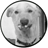 ElZilcho